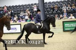 22BUCK_01427 proof