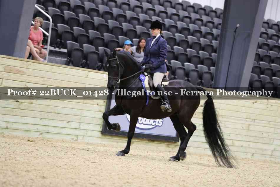Proof 22BUCK_01428