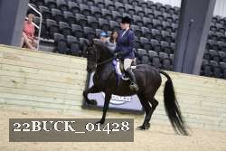 22BUCK_01428 proof