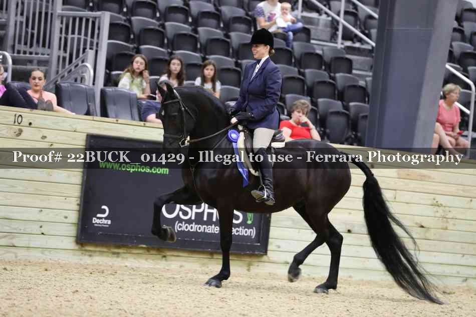 Proof 22BUCK_01429