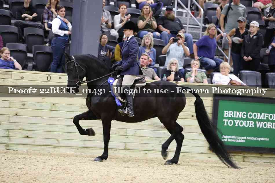 Proof 22BUCK_01431