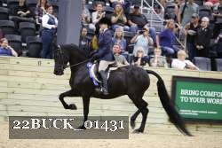 22BUCK_01431 proof