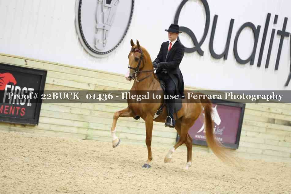 Proof 22BUCK_01436