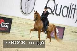 22BUCK_01436 proof