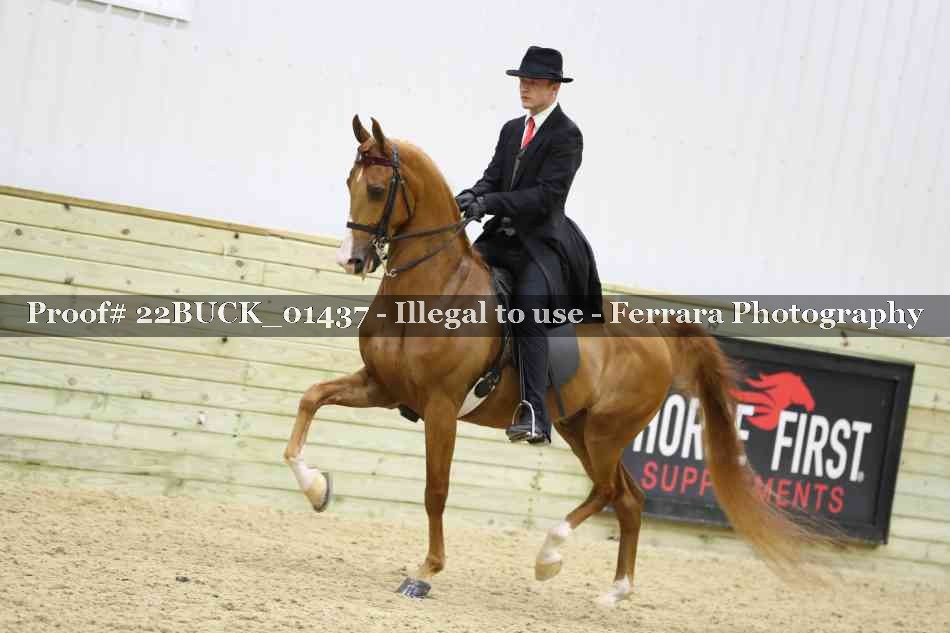 Proof 22BUCK_01437
