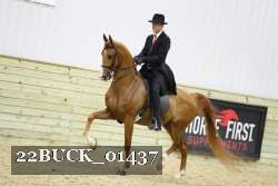 22BUCK_01437 proof