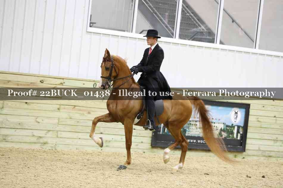 Proof 22BUCK_01438