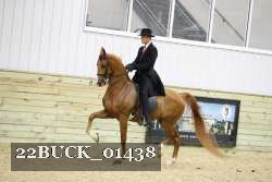 22BUCK_01438 proof