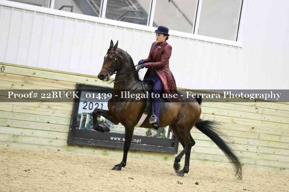 Proof 22BUCK_01439
