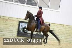 22BUCK_01439 proof