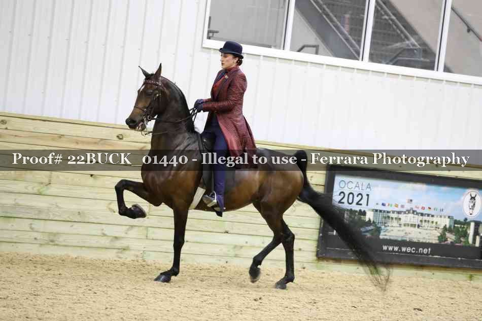 Proof 22BUCK_01440