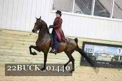22BUCK_01440 proof