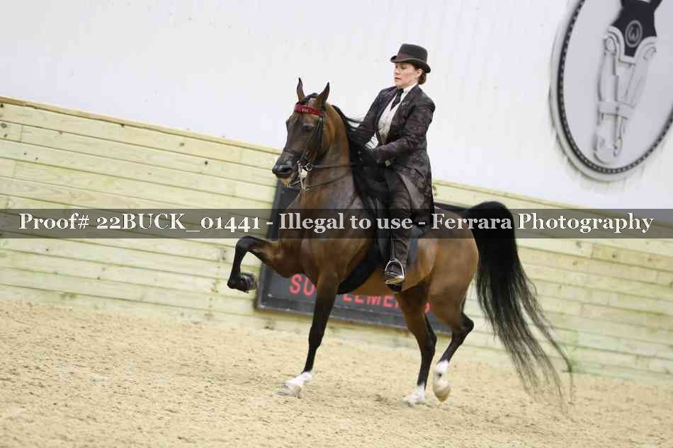 Proof 22BUCK_01441
