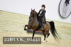 22BUCK_01441 proof