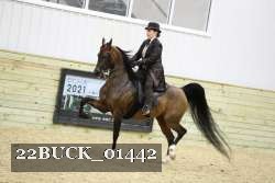 22BUCK_01442 proof