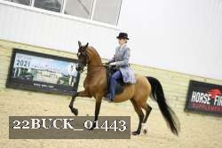 22BUCK_01443 proof