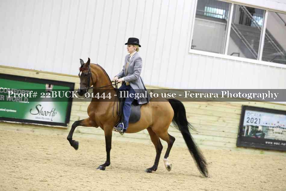 Proof 22BUCK_01444