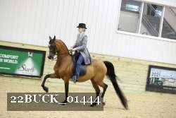 22BUCK_01444 proof