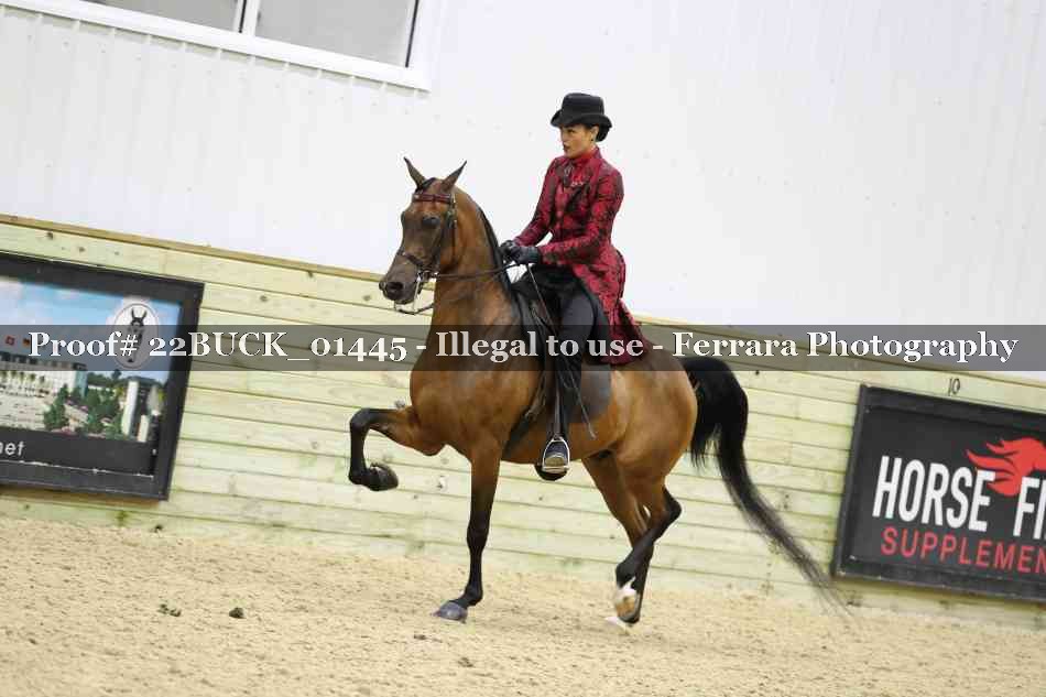 Proof 22BUCK_01445