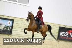 22BUCK_01445 proof