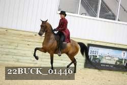 22BUCK_01446 proof