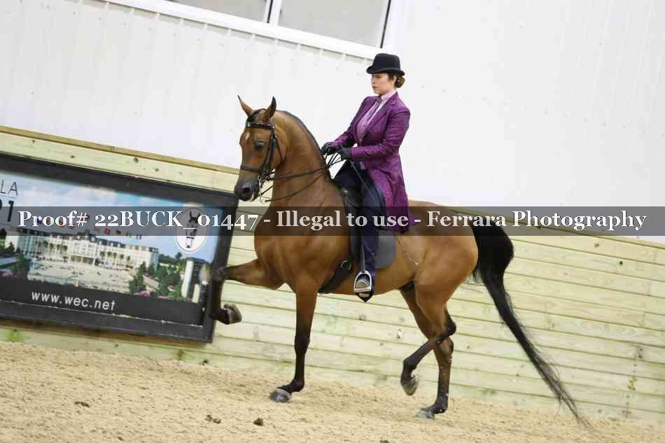 Proof 22BUCK_01447