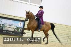 22BUCK_01447 proof