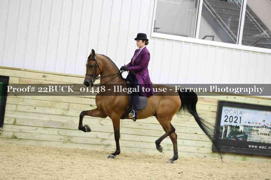 Proof 22BUCK_01448