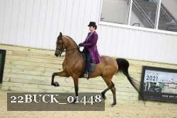 22BUCK_01448 proof