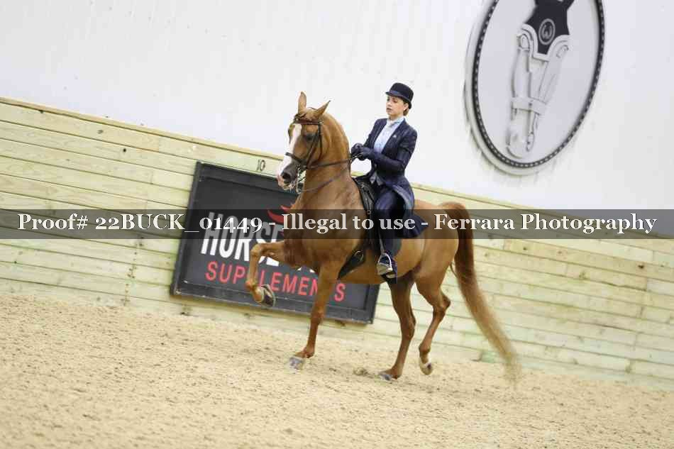 Proof 22BUCK_01449