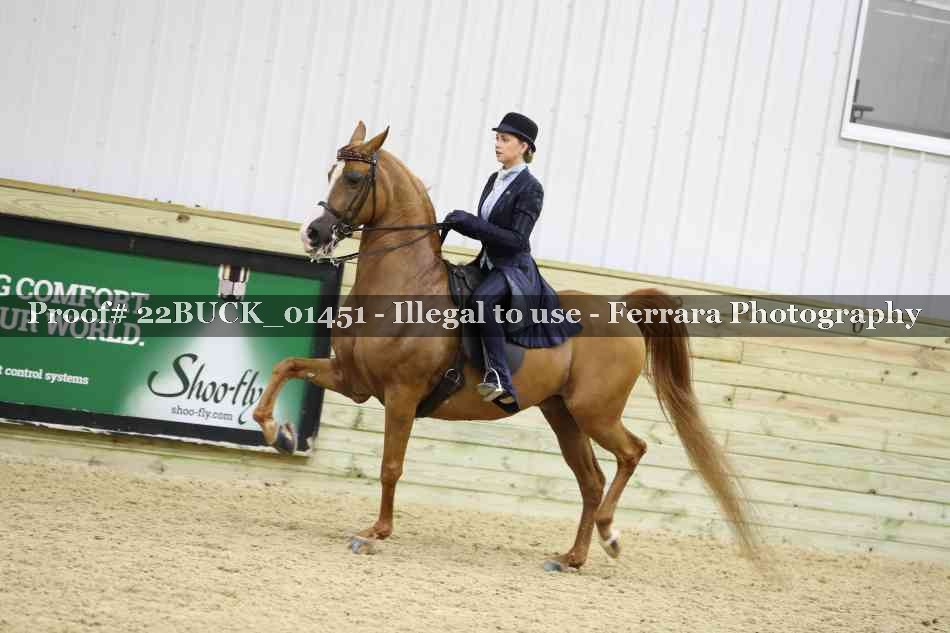 Proof 22BUCK_01451