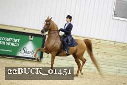 22BUCK_01451 proof