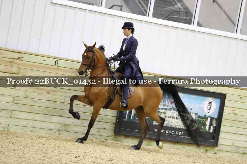 Proof 22BUCK_01452