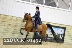22BUCK_01452 proof