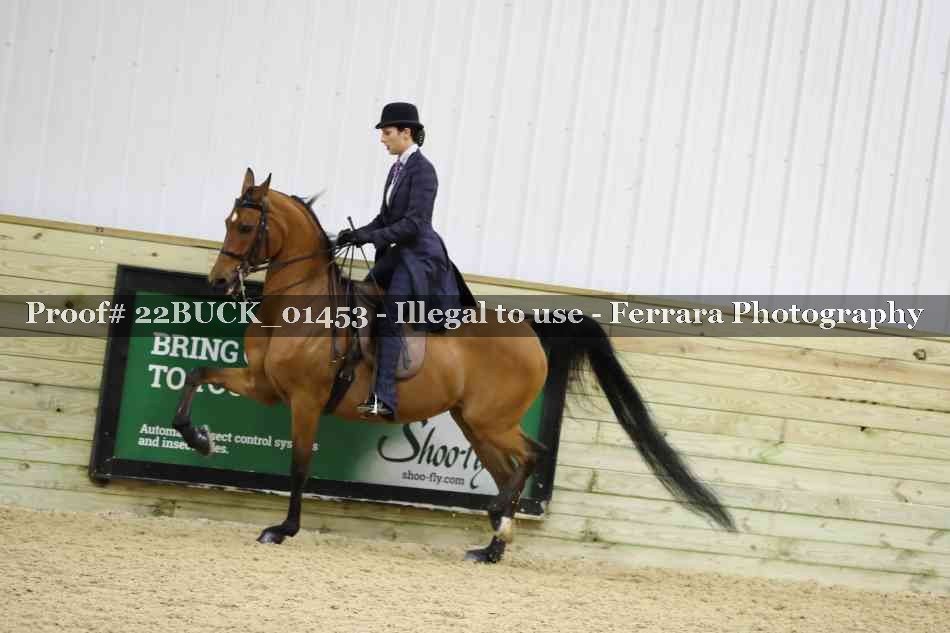 Proof 22BUCK_01453