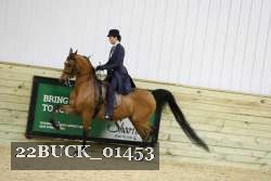 22BUCK_01453 proof
