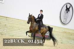 22BUCK_01454 proof