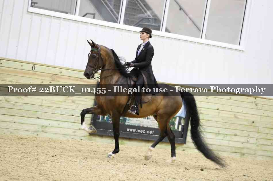 Proof 22BUCK_01455