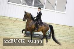 22BUCK_01455 proof