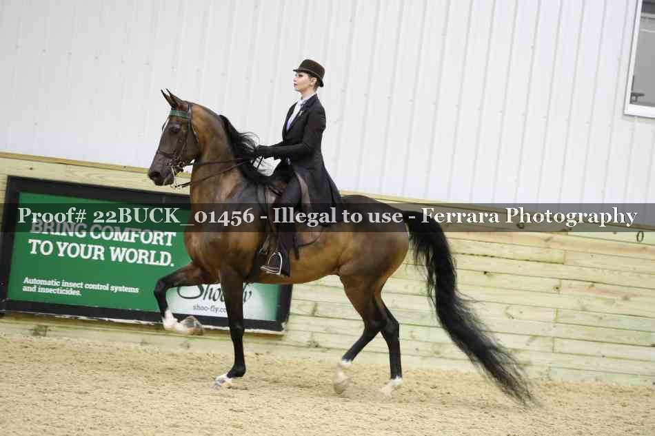 Proof 22BUCK_01456