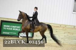 22BUCK_01456 proof