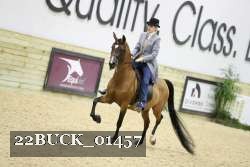 22BUCK_01457 proof
