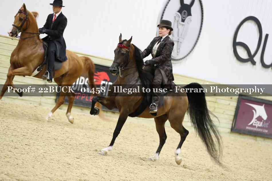 Proof 22BUCK_01458