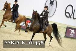 22BUCK_01458 proof