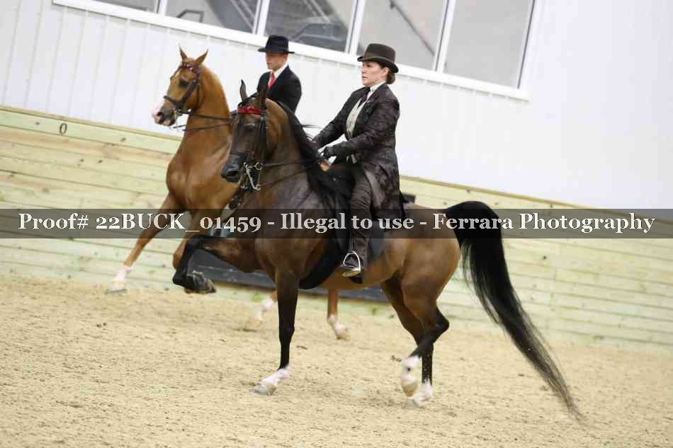 Proof 22BUCK_01459