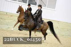 22BUCK_01459 proof