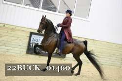 22BUCK_01460 proof