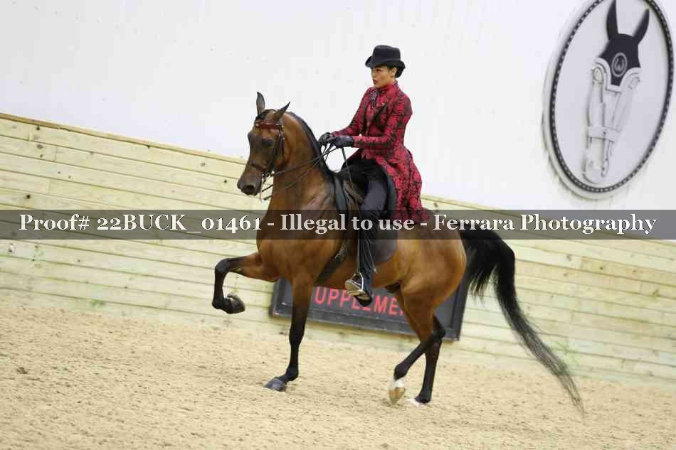 Proof 22BUCK_01461