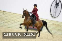 22BUCK_01461 proof