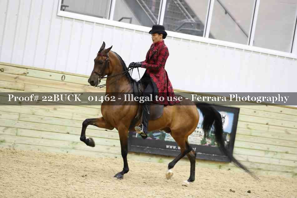 Proof 22BUCK_01462